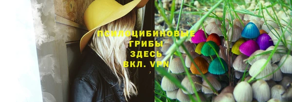 меф Вяземский