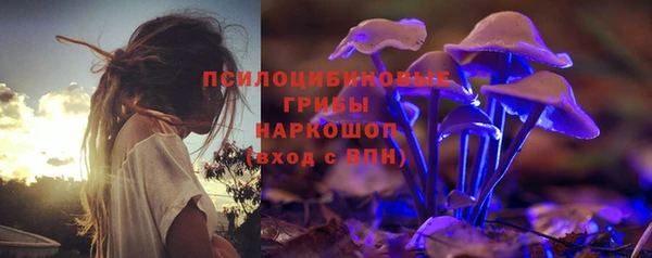меф Вяземский