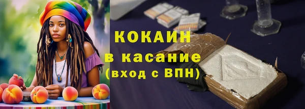 меф Вяземский