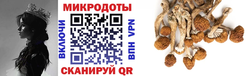 Галлюциногенные грибы мицелий Нея