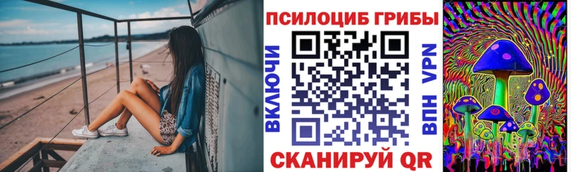 Купить закладки  Нея  Псилоцибиновые грибы мицелий 