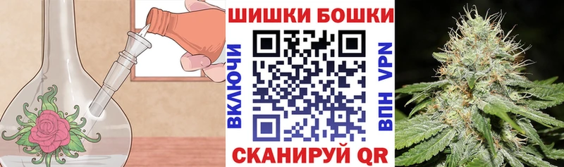 Купить  Нея  Бошки Шишки White Widow 